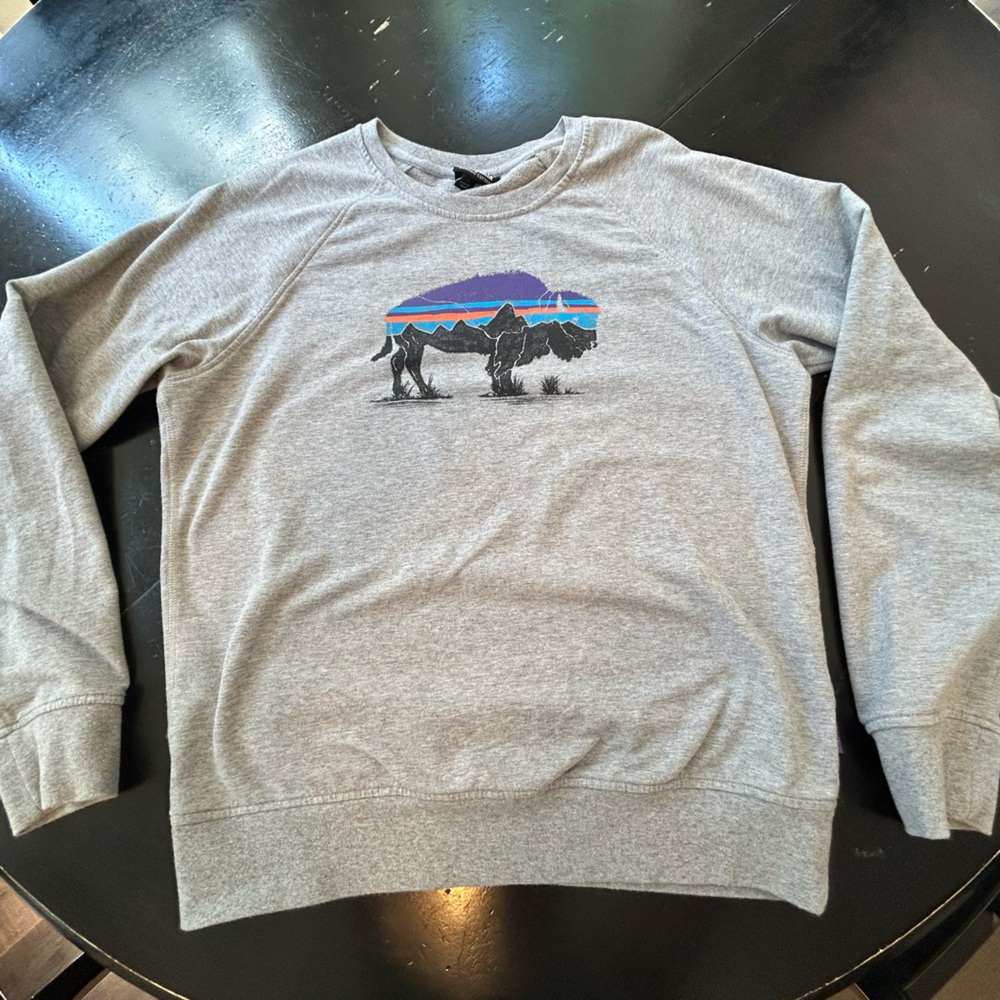 Patagonia Heather Gray Sweatshirt with Vibrant Buffalo Design